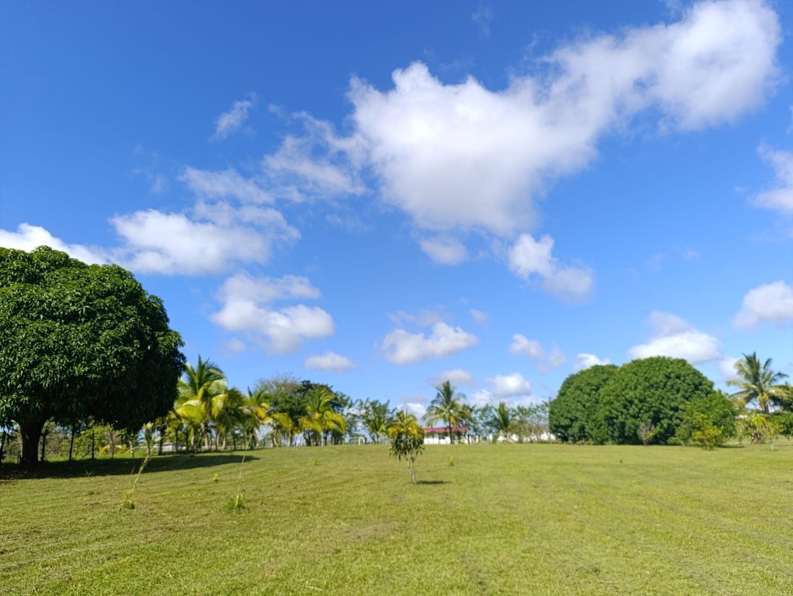 Terreno amplio en santiago de Veraguas