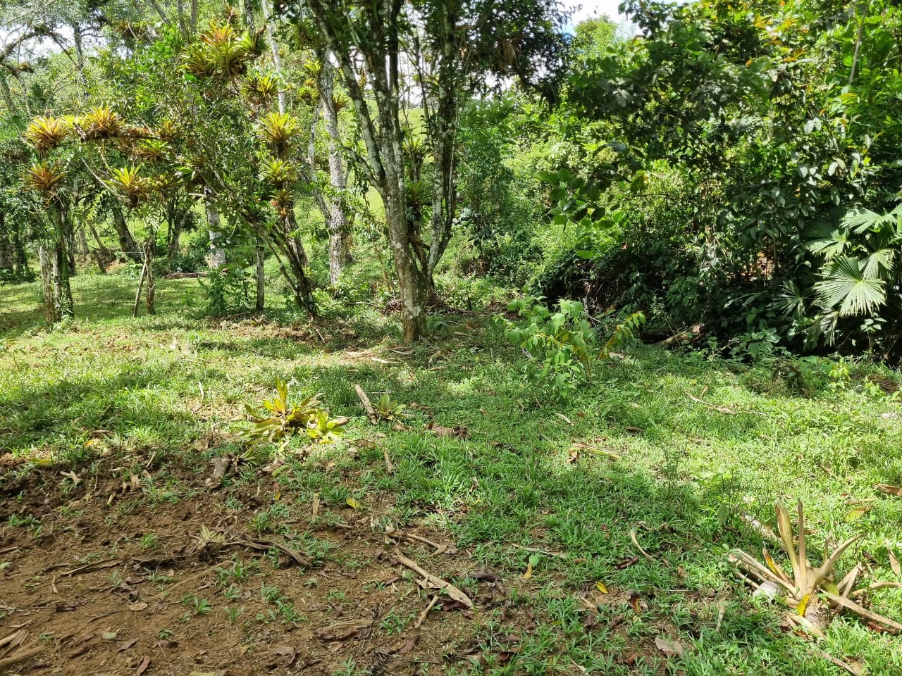Se vende terreno frente a la playa