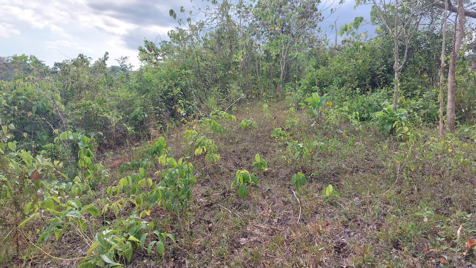 Finca en cative