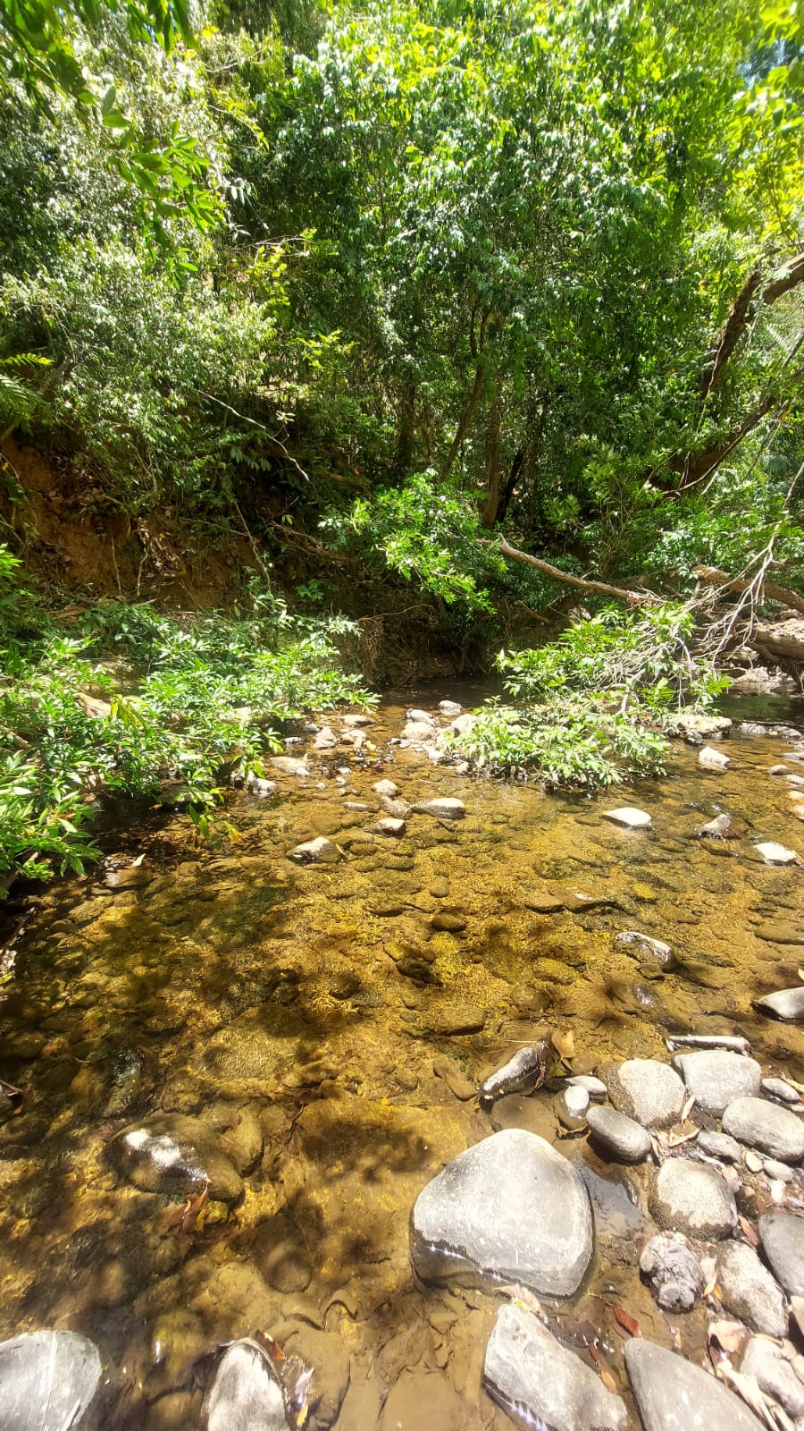 Finca en tebario de Maríato, Veraguas