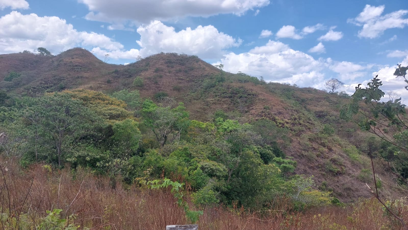 Finca en tebario de Maríato, Veraguas