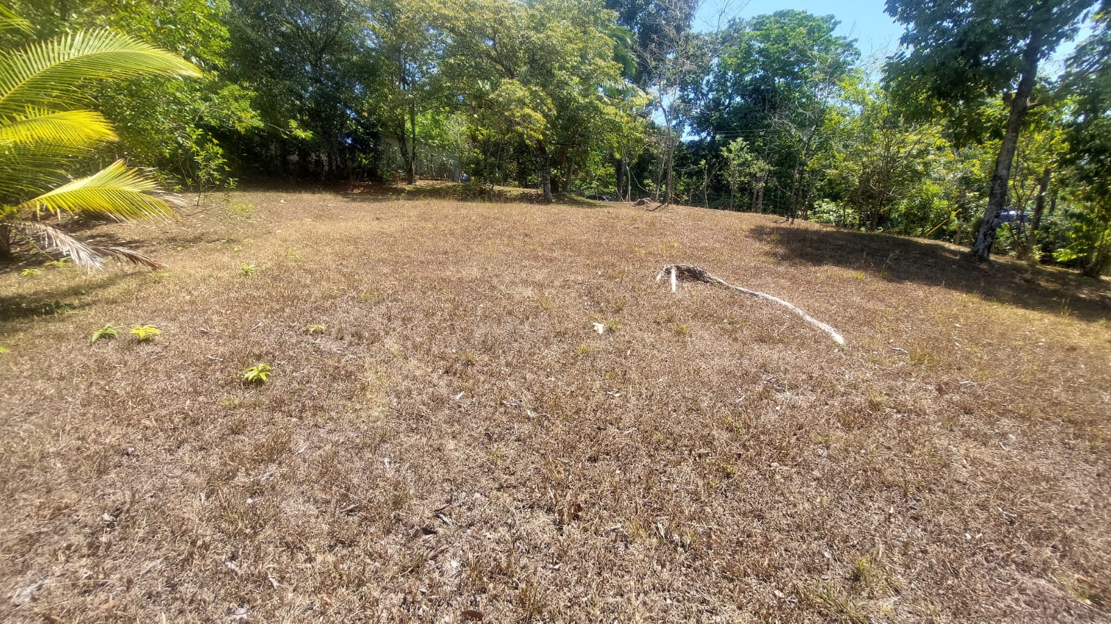 Terreno en Maríato