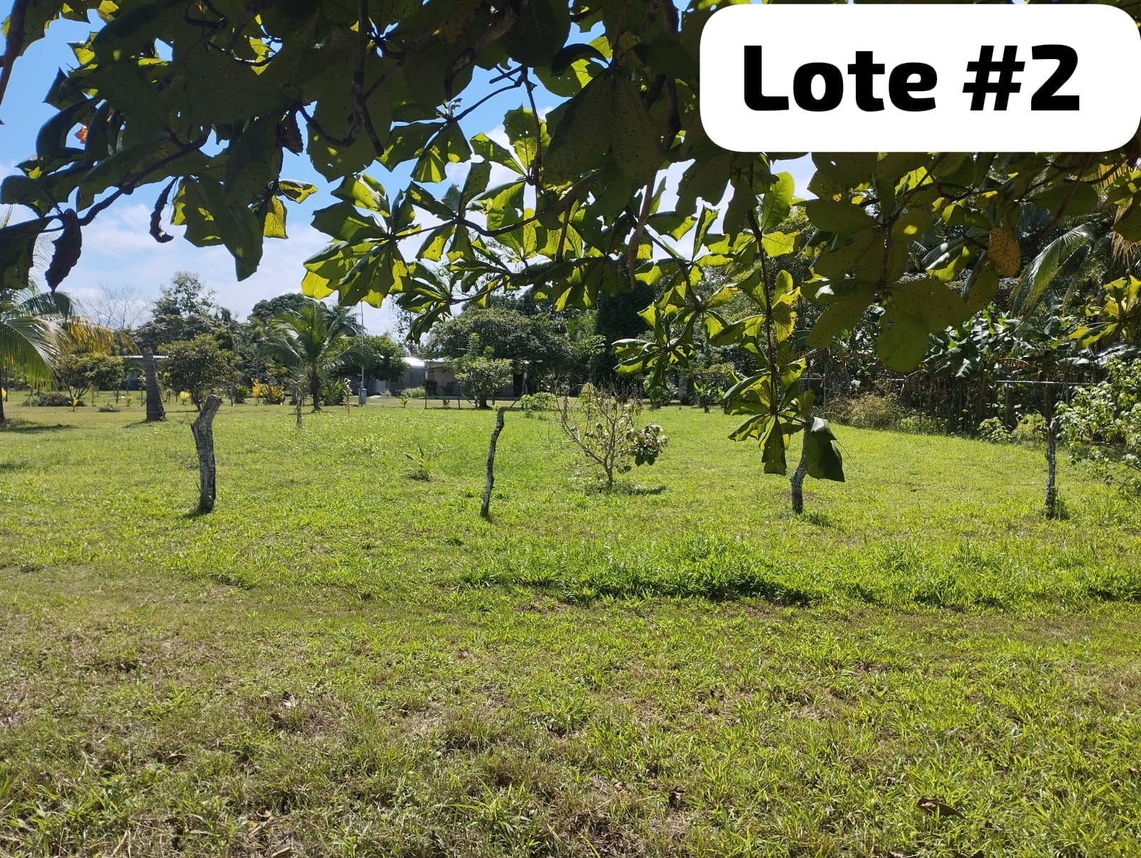 Lote en el Espino, Santiago de Veraguas