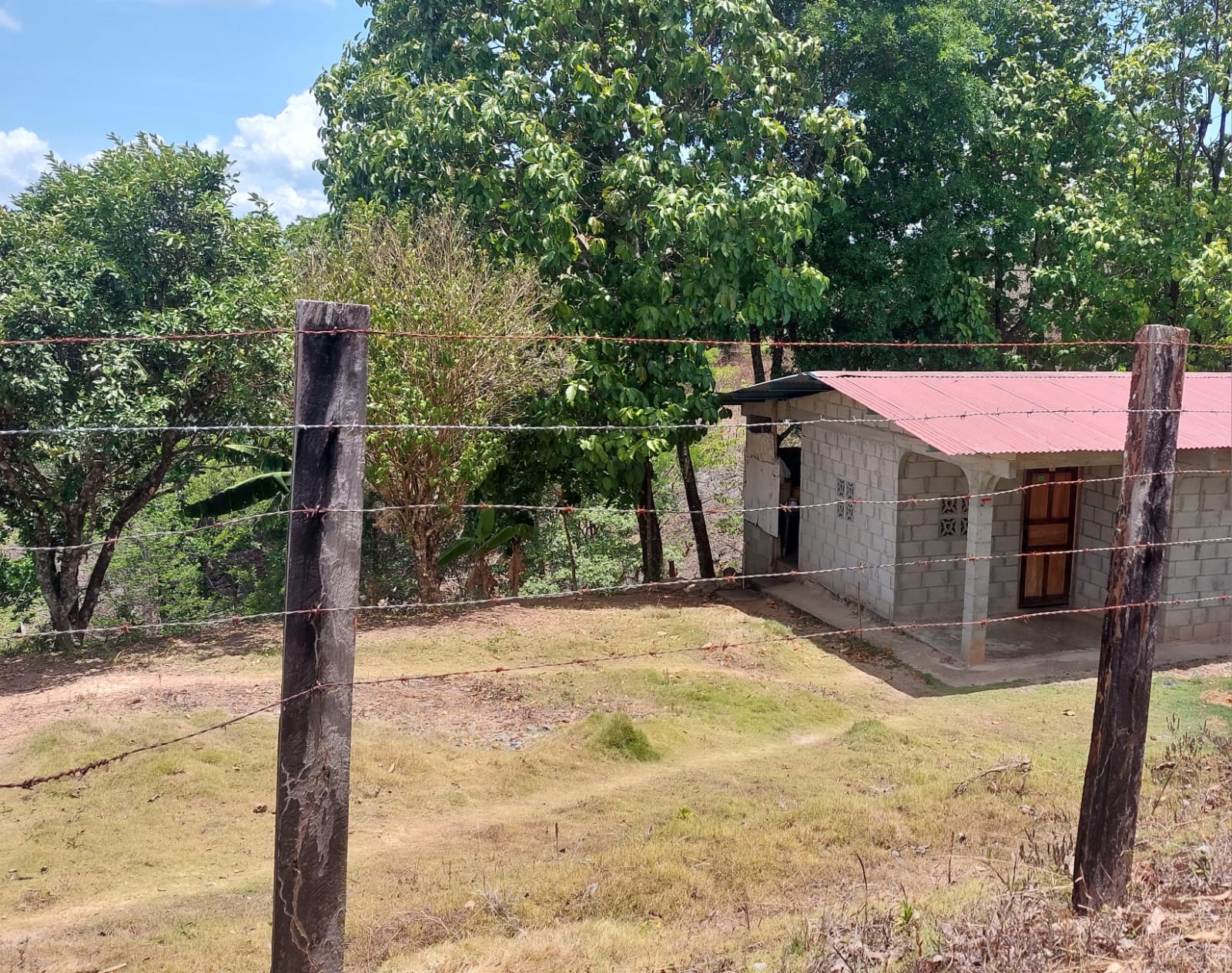 Lote y Casa