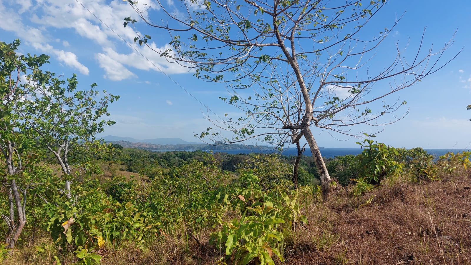 Finca en venta Mata oscura de Maríato